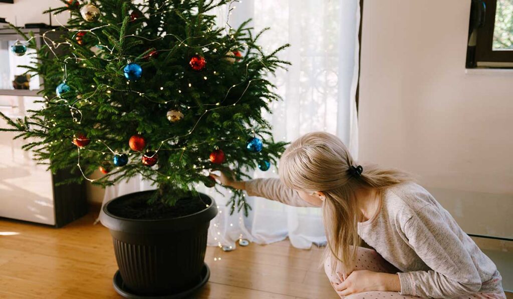 Navidad con causa ecológica